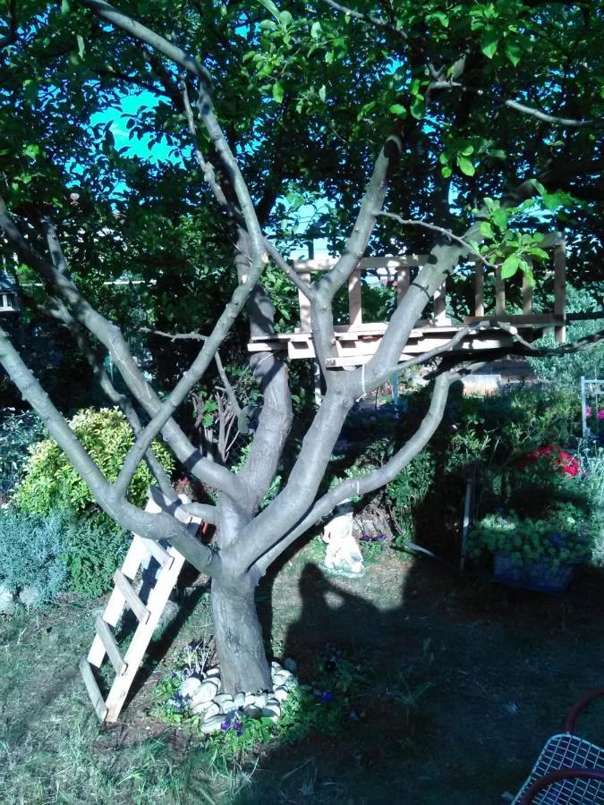 Apartmani Nado Majica Sveti Filip i Jakov Exterior photo